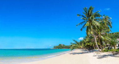 Koh Samui Adası, Tayland bir yaz günü palmiye ağaçları ile tropikal plaj