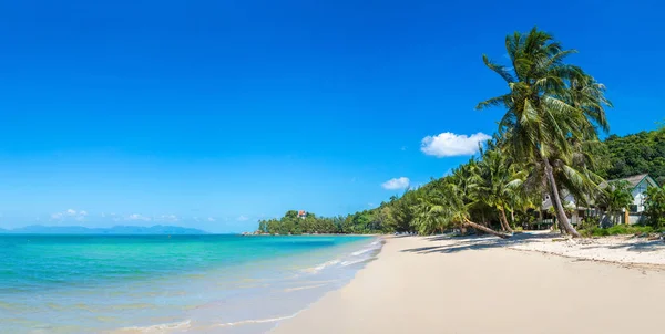 Tropikalnej Plaży Palmami Wyspie Koh Samui Tajlandia Letnie Dni — Zdjęcie stockowe