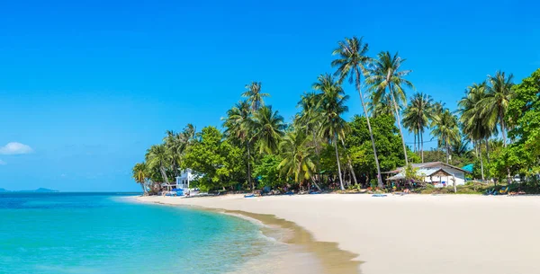 Praia Tropical Com Palmeiras Ilha Koh Samui Tailândia Dia Verão — Fotografia de Stock