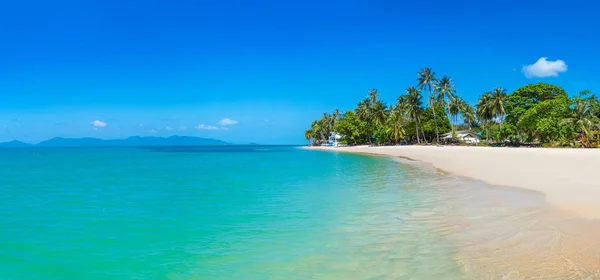 Tropikalnej Plaży Palmami Wyspie Koh Samui Tajlandia Letnie Dni — Zdjęcie stockowe