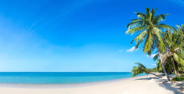 Praia Tropical Com Palmeiras Ilha Koh Samui Tailândia Dia Verão — Fotografia de Stock