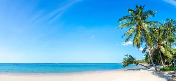 Tropisch Strand Met Palmbomen Koh Samui Eiland Thailand Een Zomerdag — Stockfoto