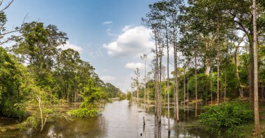 Siem Reap, Kamboçya'da bir yaz günü karmaşık Angkor Wat bataklıkta Panoraması