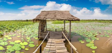 Lotus çiftliğinin yakınlarında Siem Reap, Kamboçya'da bir yaz günü Panoraması