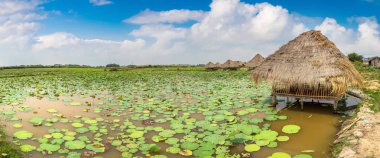 Lotus çiftliğinin yakınlarında Siem Reap, Kamboçya'da bir yaz günü Panoraması
