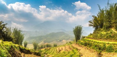 Terraced pirinç alan bir yaz günü Sapa, Lao Cai, Vietnam'da Panoraması