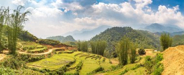 Terraced pirinç alan bir yaz günü Sapa, Lao Cai, Vietnam'da Panoraması