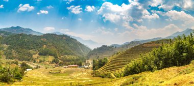 Terraced pirinç alan bir yaz günü Sapa, Lao Cai, Vietnam'da Panoraması