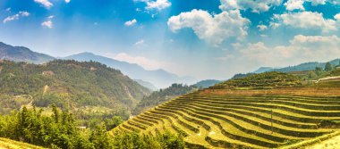 Terraced pirinç alan bir yaz günü Sapa, Lao Cai, Vietnam'da Panoraması