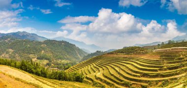 Terraced pirinç alan bir yaz günü Sapa, Lao Cai, Vietnam'da Panoraması