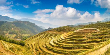 Terraced pirinç alan bir yaz günü Sapa, Lao Cai, Vietnam'da Panoraması