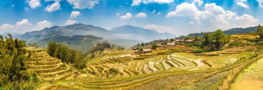Terraced pirinç alan bir yaz günü Sapa, Lao Cai, Vietnam'da Panoraması