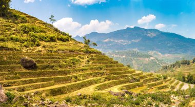 Terraced pirinç alan bir yaz günü Sapa, Lao Cai, Vietnam'da Panoraması