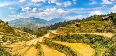 Terraced pirinç alan bir yaz günü Sapa, Lao Cai, Vietnam'da Panoraması