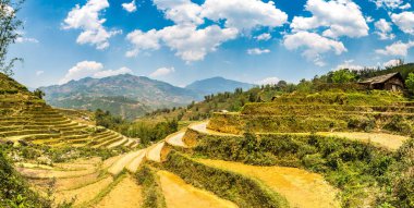 Terraced pirinç alan bir yaz günü Sapa, Lao Cai, Vietnam'da Panoraması