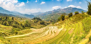Terraced pirinç alan bir yaz günü Sapa, Lao Cai, Vietnam'da Panoraması