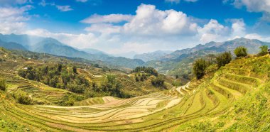 Terraced pirinç alan bir yaz günü Sapa, Lao Cai, Vietnam'da Panoraması