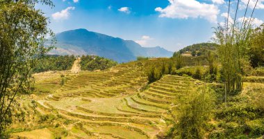 Terraced pirinç alan bir yaz günü Sapa, Lao Cai, Vietnam'da Panoraması