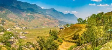 Terraced pirinç alan bir yaz günü Sapa, Lao Cai, Vietnam'da Panoraması