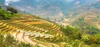 Terraced pirinç alan bir yaz günü Sapa, Lao Cai, Vietnam'da Panoraması