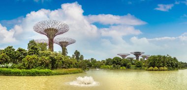 Singapur - 23 Haziran 2018: Supertree Grove Marina Bay Sands hotel yaz günü adlı yakınlarında Singapur koyda bahçelerle adlı Panoraması