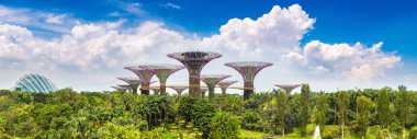 Singapur - 23 Haziran 2018: Supertree Grove Marina Bay Sands hotel yaz günü adlı yakınlarında Singapur koyda bahçelerle adlı Panoraması