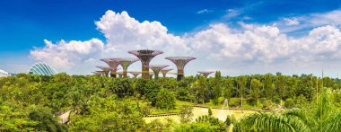 Singapur - 23 Haziran 2018: Supertree Grove Marina Bay Sands hotel yaz günü adlı yakınlarında Singapur koyda bahçelerle adlı Panoraması