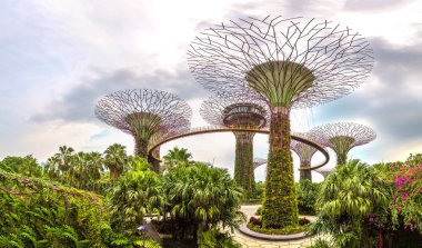 Singapur - 23 Haziran 2018: Supertree Grove Marina Bay Sands hotel yaz günü adlı yakınlarında Singapur koyda bahçelerle adlı Panoraması