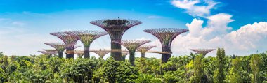 Singapur - 23 Haziran 2018: Supertree Grove Marina Bay Sands hotel yaz günü adlı yakınlarında Singapur koyda bahçelerle adlı Panoraması