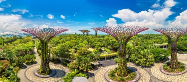 Singapur - 23 Haziran 2018: Supertree Grove Marina Bay Sands hotel yaz günü adlı yakınlarında Singapur koyda bahçelerle adlı Panoraması