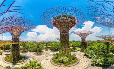 Singapur - 23 Haziran 2018: Supertree Grove Marina Bay Sands hotel yaz günü adlı yakınlarında Singapur koyda bahçelerle adlı Panoraması