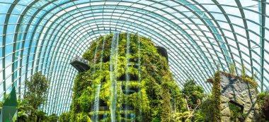 Singapur - 23 Haziran 2018: Panorama şelale Konservatuarı bulut orman kubbe Singapur yaz gün