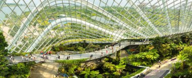Singapur - 23 Haziran 2018: Panorama, Konservatuvarı bulut orman kubbe Singapur yaz gün