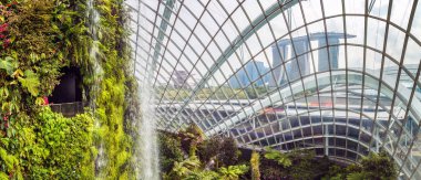 Singapur - 23 Haziran 2018: Panorama şelale Konservatuarı bulut orman kubbe Singapur yaz gün