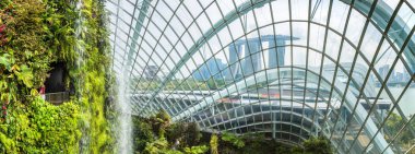 Singapur - 23 Haziran 2018: Panorama şelale Konservatuarı bulut orman kubbe Singapur yaz gün