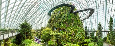 Singapur - 23 Haziran 2018: Panorama, Konservatuvarı bulut orman kubbe Singapur yaz gün
