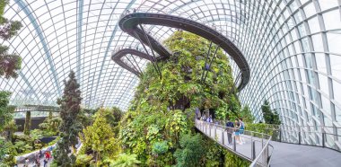 Singapur - 23 Haziran 2018: Panorama, Konservatuvarı bulut orman kubbe Singapur yaz gün