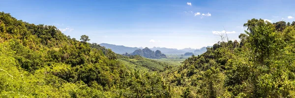 Panorama Forêt Tropicale Humide Thaïlande Jour Été — Photo