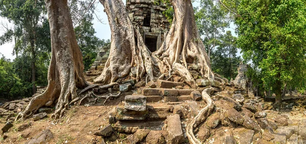 Panorama Von Preah Palilay Tempel Ruinen Ist Khmer Alten Tempel — Stockfoto