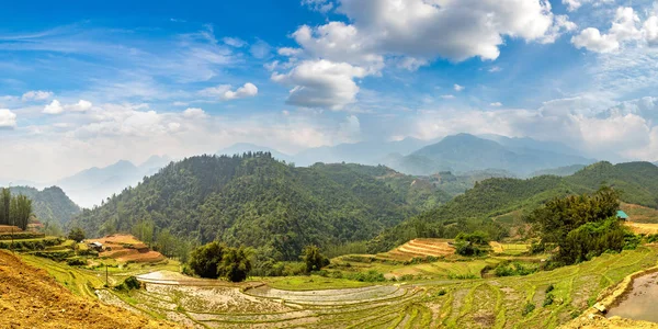 Panorama Terrasserad Risfält Sapa Lao Cai Vietnam Sommardag — Stockfoto