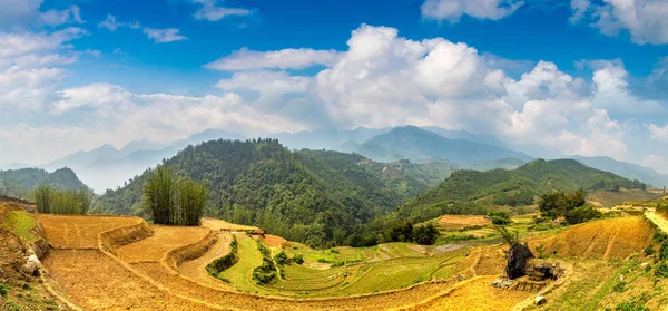 Panorama Terrasserad Risfält Sapa Lao Cai Vietnam Sommardag — Stockfoto