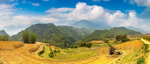 Panorama Campo Arroz Terraced Sapa Lao Cai Vietnã Dia Verão — Fotografia de Stock