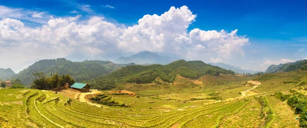 Panorama Terrasserad Risfält Sapa Lao Cai Vietnam Sommardag — Stockfoto