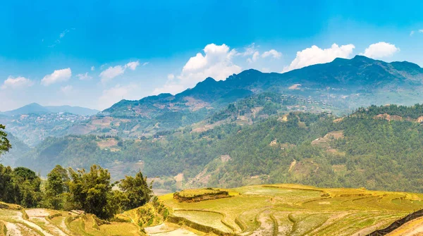 Panorama Rizières Terrasses Sapa Lao Cai Vietnam Une Journée Été — Photo