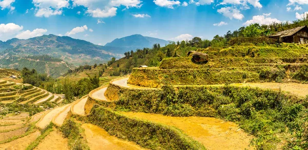 Panorama Terrasserad Risfält Sapa Lao Cai Vietnam Sommardag — Stockfoto