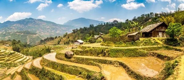 Panorama Terrasserad Risfält Sapa Lao Cai Vietnam Sommardag — Stockfoto