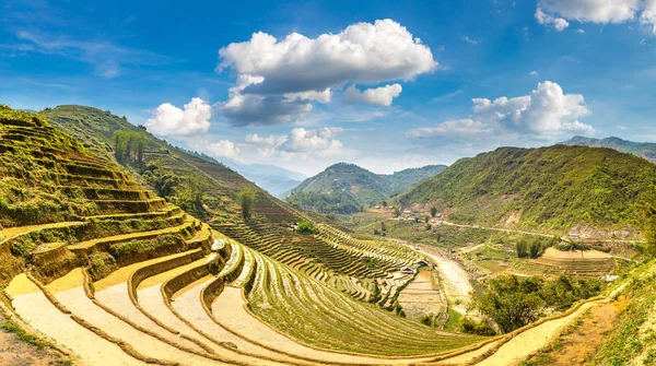 Panorama Terraced Rice Field Sapa Lao Cai Vietnam Día Verano — Foto de Stock