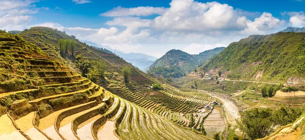 Panorama Campo Arroz Terraced Sapa Lao Cai Vietnã Dia Verão — Fotografia de Stock