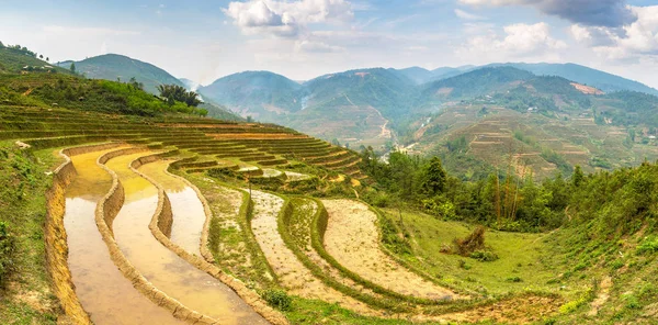 Panorama Campo Arroz Terraced Sapa Lao Cai Vietnã Dia Verão — Fotografia de Stock