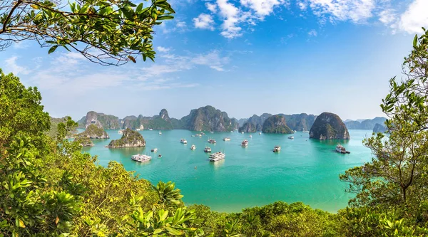 Panorama Della Baia Halon Vietnam Una Giornata Estiva — Foto Stock